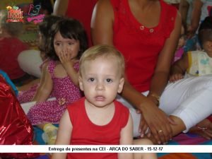 CEI - ESCOLA ARCA DO SABER - 102